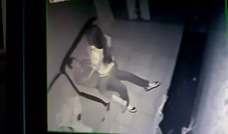 வெள்ளை பெண்கள் செக் Pargo உறிஞ்சும், கருப்பு, சேவல் தொகுப்பு