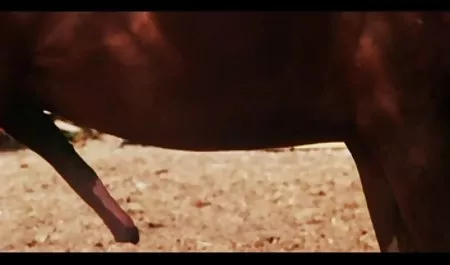 மற்றும் டிஃப்ஃபனி டாட்டம் செக் ஆபாச திரைப்படங்கள் ஒரு லெஸ்பியன் காட்சி அற்புதமானது விரல்கள்