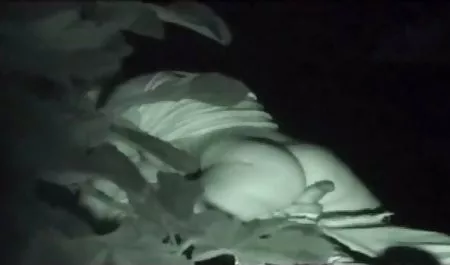 நினைவுப்படுத்துகின்றது செக் megascenery