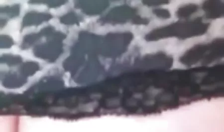 பெரிய உமர் பிரிட்டிஷ் சாகசங்களை இல்லத்தரசிகள் கும்பல் செக் pono பேங் காட்சி 3