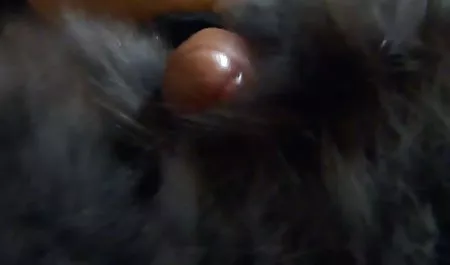 கட்சி ஆபாச வீடியோக்களை பார்க்க உண்மையான பரத்தையர் - Mayweather Palmer சுன்னிகள்