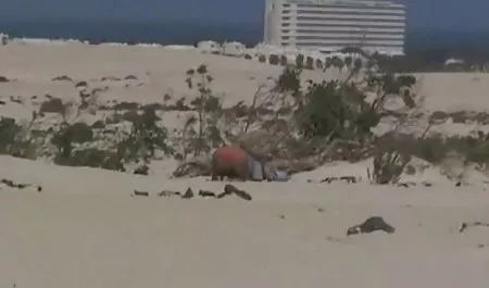 கவர்ச்சி தனியா, குஞ்சு செக் செக்ஸ் மற்றும் அவரது மனிதன் முதிர்ந்த பிரஞ்சு