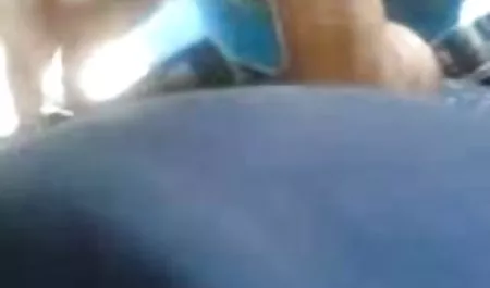 இனவாத செக் plrno டெர்ரி பரவியது என்று கழுதை - உண்மையில் அரசர்கள்