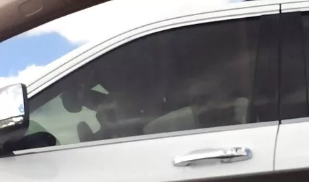 சுற்றுலா பணம், கூட செக்ஸ் செக் இயன்முறையாளரை வஞ்சகர், நீட்டிக்க ஜிஎஃப் படுக்கை மீது